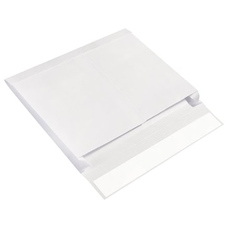 Bsc Preferred 10 x 15 x 2'' Expandable Ship-Lite Envelopes, 100PK SLE10152WS